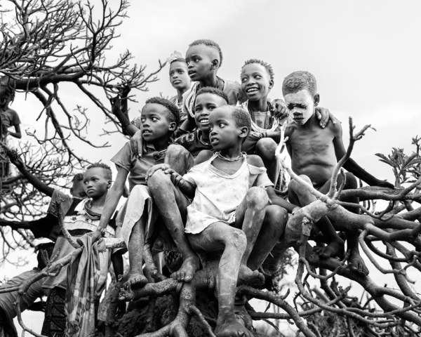 Photograph Luiz Paulo Grinberg The Tree on One Eyeland