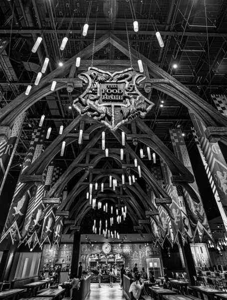 Photograph Mel Yukiina Where Lights Fall on One Eyeland
