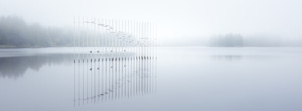 Photograph Petri Damsten Art At The Bay on One Eyeland