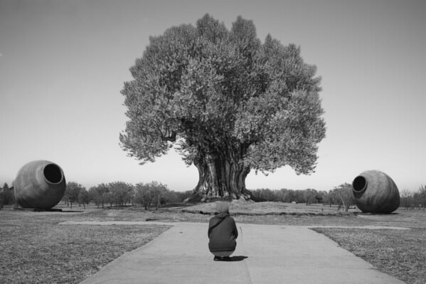 Photograph Mel Yukiina Position on One Eyeland