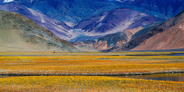 Photograph Satheesh Nair Ladakh_8541 on One Eyeland