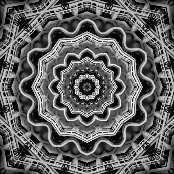 Photograph Hironko  Structure Becoming Frill on One Eyeland