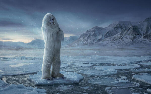 Photograph Kremer Johnson Cold Is As Cold Does on One Eyeland