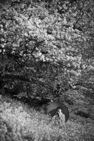 Photograph Setsuna Kurouzu Sakura on One Eyeland