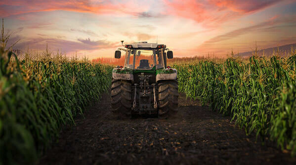 Photograph Alexandre Utrabo Trator on One Eyeland