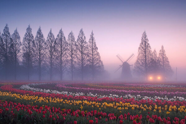 Photograph Seint Rei Glow In The Mist on One Eyeland