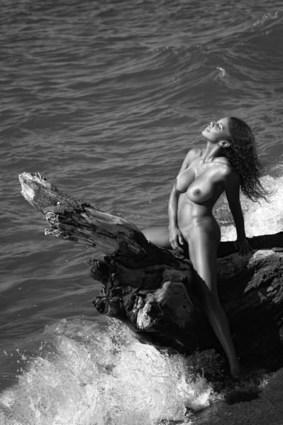 Photograph Roberto Manetta The Trunk on One Eyeland