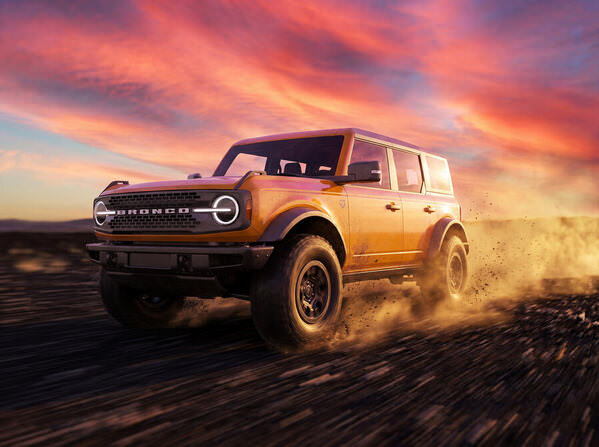 Photograph Alexandre Utrabo Bronco on One Eyeland