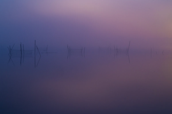Photograph Kou Suga Fog on One Eyeland
