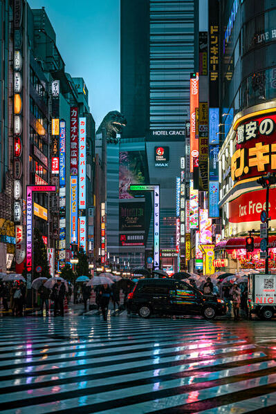 Photograph Ryuhei Suguri Godzilla Road on One Eyeland