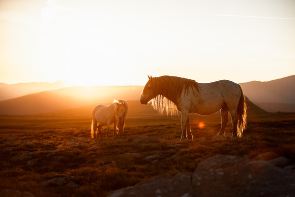 Photograph Fabienne Gassmann Free Spirit on One Eyeland