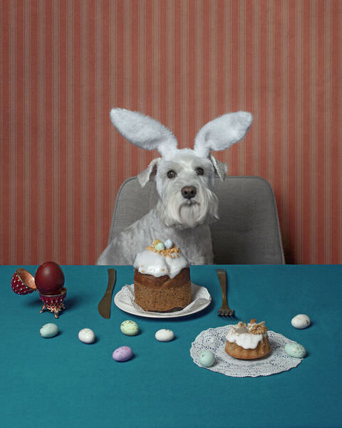 Photograph Yulia Nikiforova Welcome To Party on One Eyeland