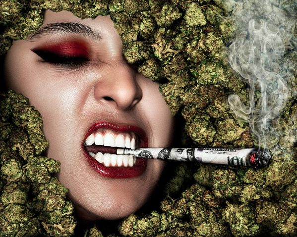 Photograph Nick Schwartz Pot Head on One Eyeland