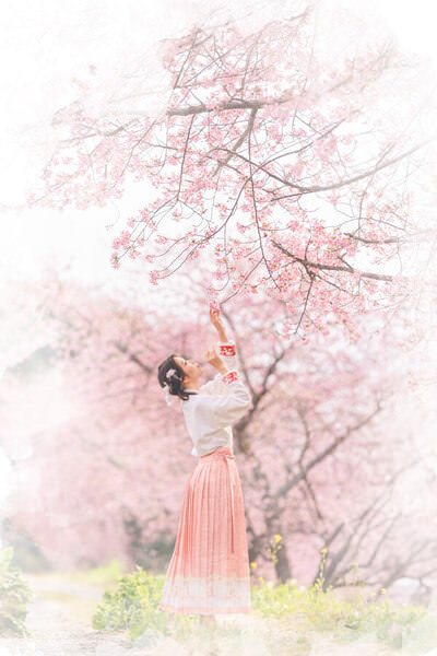 Photograph Kaoru Suzuki The Space Of Blossoms on One Eyeland