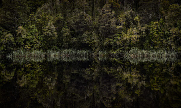 Photograph Stephan Romer Lake Matheson Reflection on One Eyeland