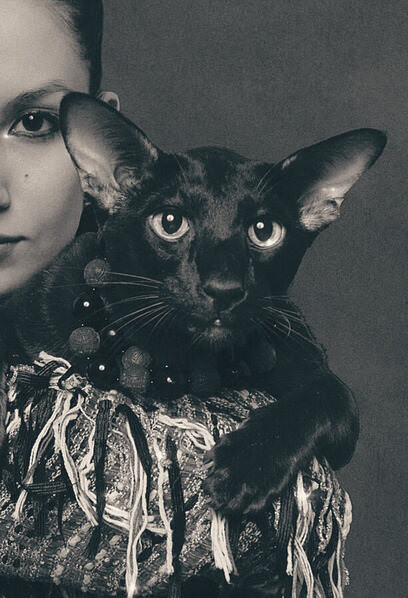Photograph Galina Sa Black Cat on One Eyeland
