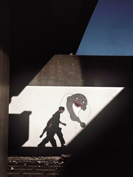 Photograph Marina Nagasaki Play Of Shadows on One Eyeland