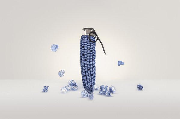Photograph Antonio Coelho Porcelain on One Eyeland