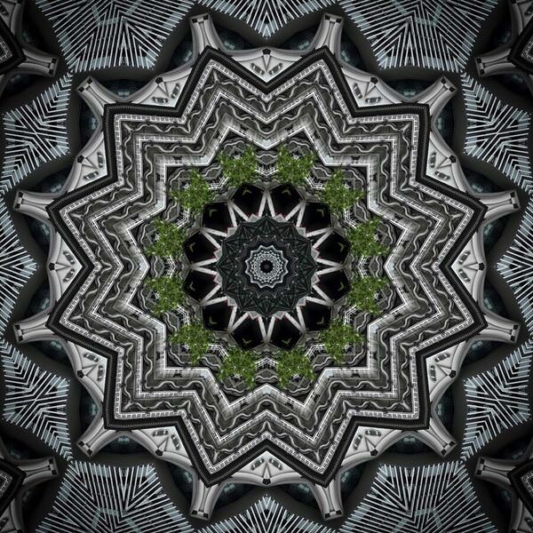 Photograph Hironko  A System Softened By Green on One Eyeland