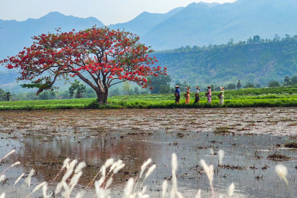 Photograph Nyi Nyi Thet Nature Beauty on One Eyeland