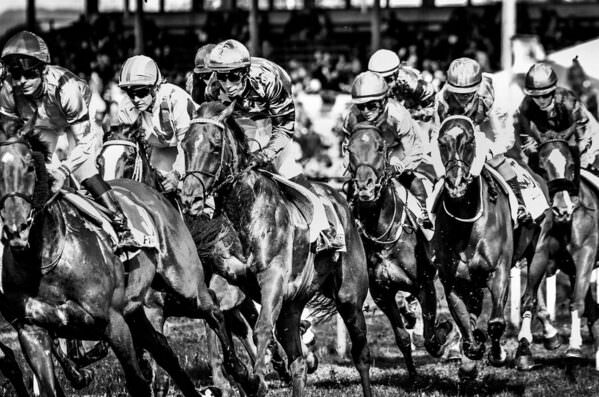 Photograph Cedrik Hersperger Horse Race on One Eyeland