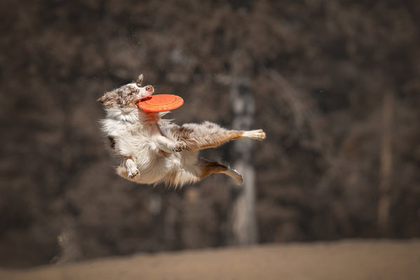 Photograph Lucie Nermutova Gravity Defied on One Eyeland