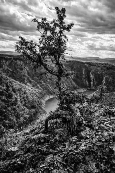 Photograph Alexander Shilov Asp_260413_131 on One Eyeland