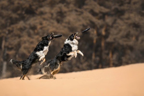 Photograph Lucie Nermutova Synchronized Instinct on One Eyeland