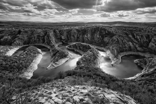 Photograph Alexander Shilov Asp_260413_159 on One Eyeland