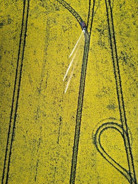 Photograph Allan Andersen Rapeseed Patterns Denmark I on One Eyeland