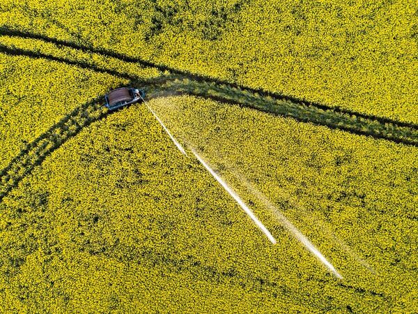 Photograph Allan Andersen Golden Flow on One Eyeland