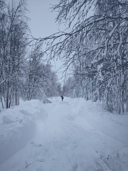 Photograph Olga Denisova Nature on One Eyeland