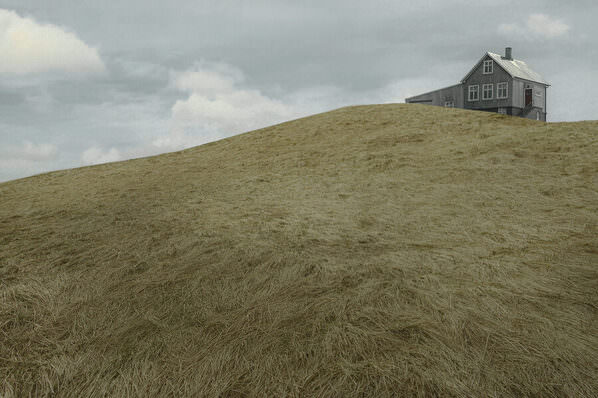 Photograph Anastasia Sotchenko Wyeth Field on One Eyeland
