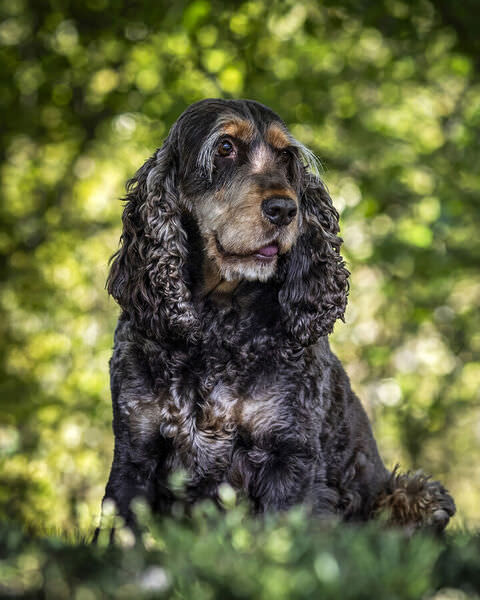 Photograph Huub Keulers Long Haired Beauty on One Eyeland