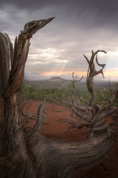 Photograph Markus Albert Rain Ahead on One Eyeland