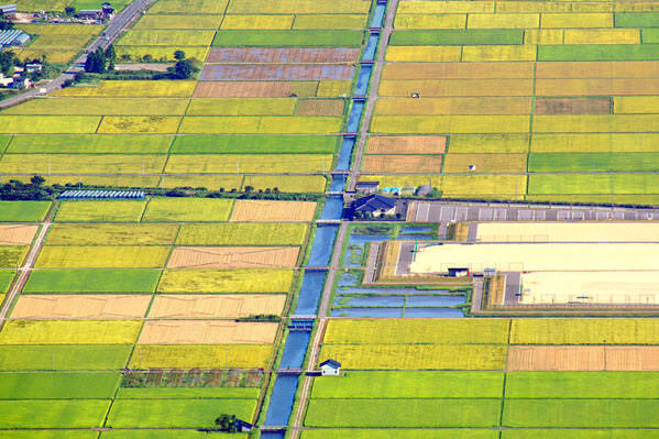 Photograph Rikiya Fukushima Rural on One Eyeland
