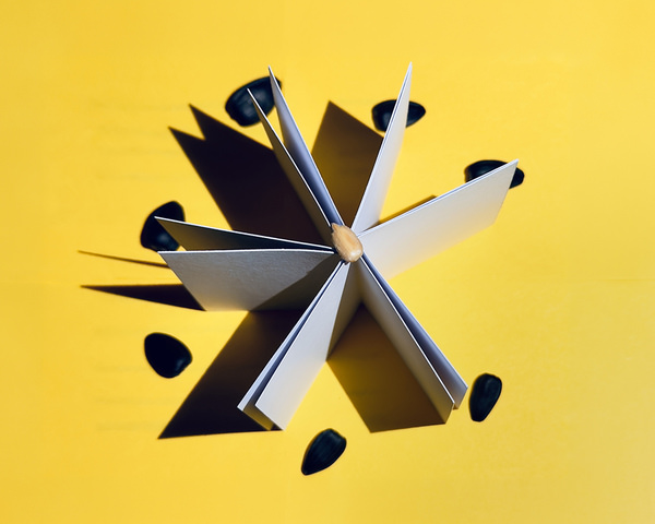 Photograph Julia Kantor Soft Core Sharp System on One Eyeland
