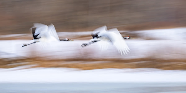 Photograph Tomoaki Katsuba Heading Home on One Eyeland