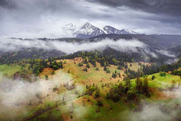 Photograph Martin Kucera After The Rain Below The Belianske Tatras on One Eyeland