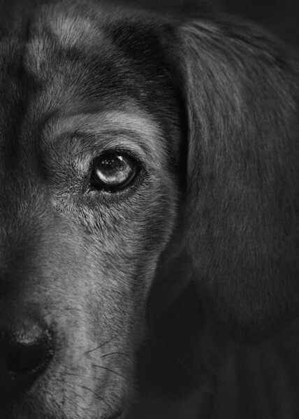 Photograph Yushi Kaisyakuji A Professional Eye on One Eyeland