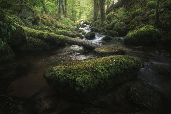 Photograph Benjamin Hoeger Back To Enchanted on One Eyeland