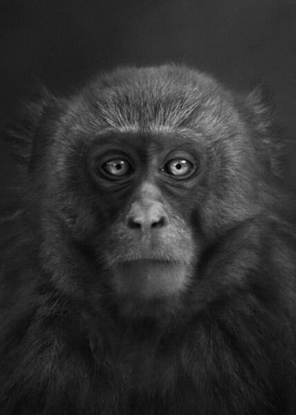 Photograph Yushi Kaisyakuji Unbreaking on One Eyeland