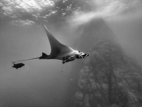 Photograph Arun Madisetti Socorro on One Eyeland