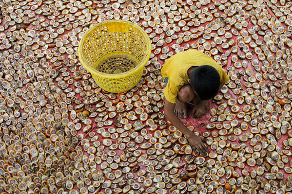 Photograph Phyo Kyaw Sun Dried Harvest on One Eyeland