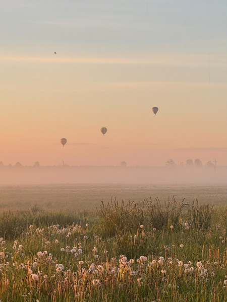 Photograph Lena Bashmakova Balloons At Dawn on One Eyeland