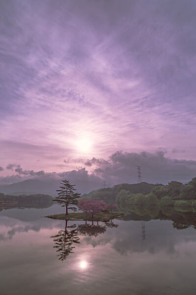 Photograph Eku Nii In The Pink Glow on One Eyeland