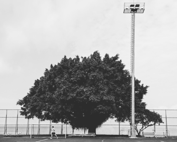 Photograph Yulia Kozina Tree Of Silence on One Eyeland