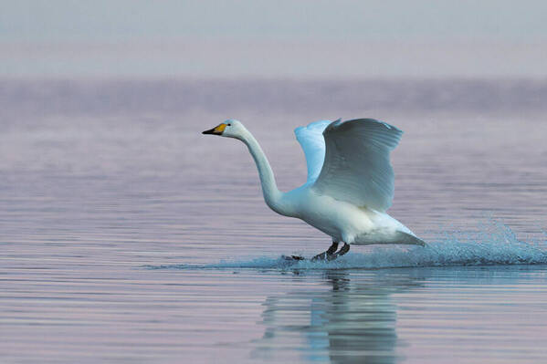 Photograph Allan Andersen Touching Water on One Eyeland