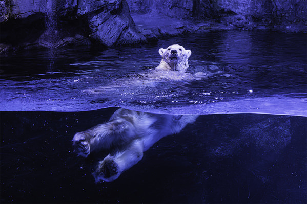 Photograph Mel Yukiina Drifting In Blue on One Eyeland