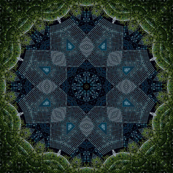 Photograph Hironko  Hidden Within Green on One Eyeland